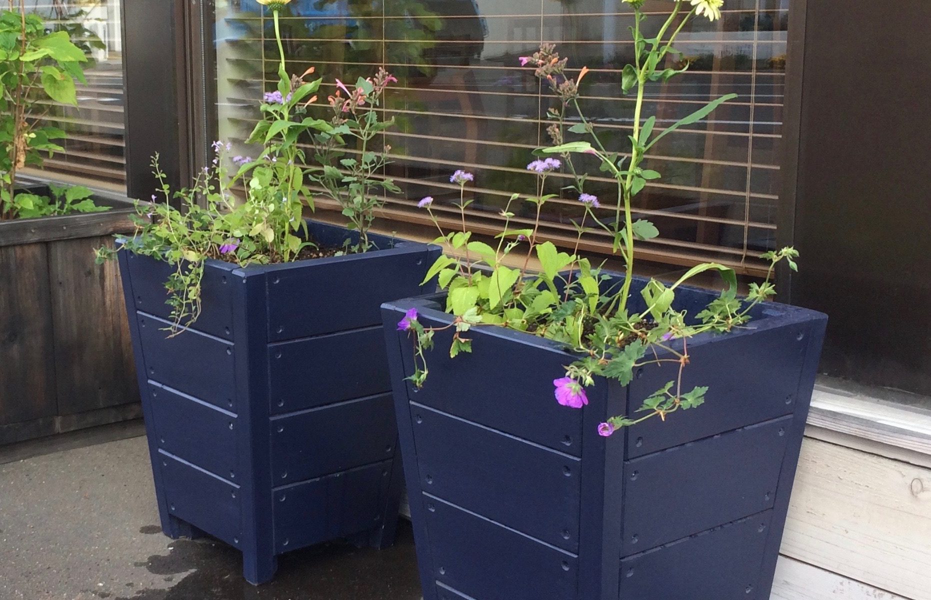 ブルーのプランター植木鉢の植栽例