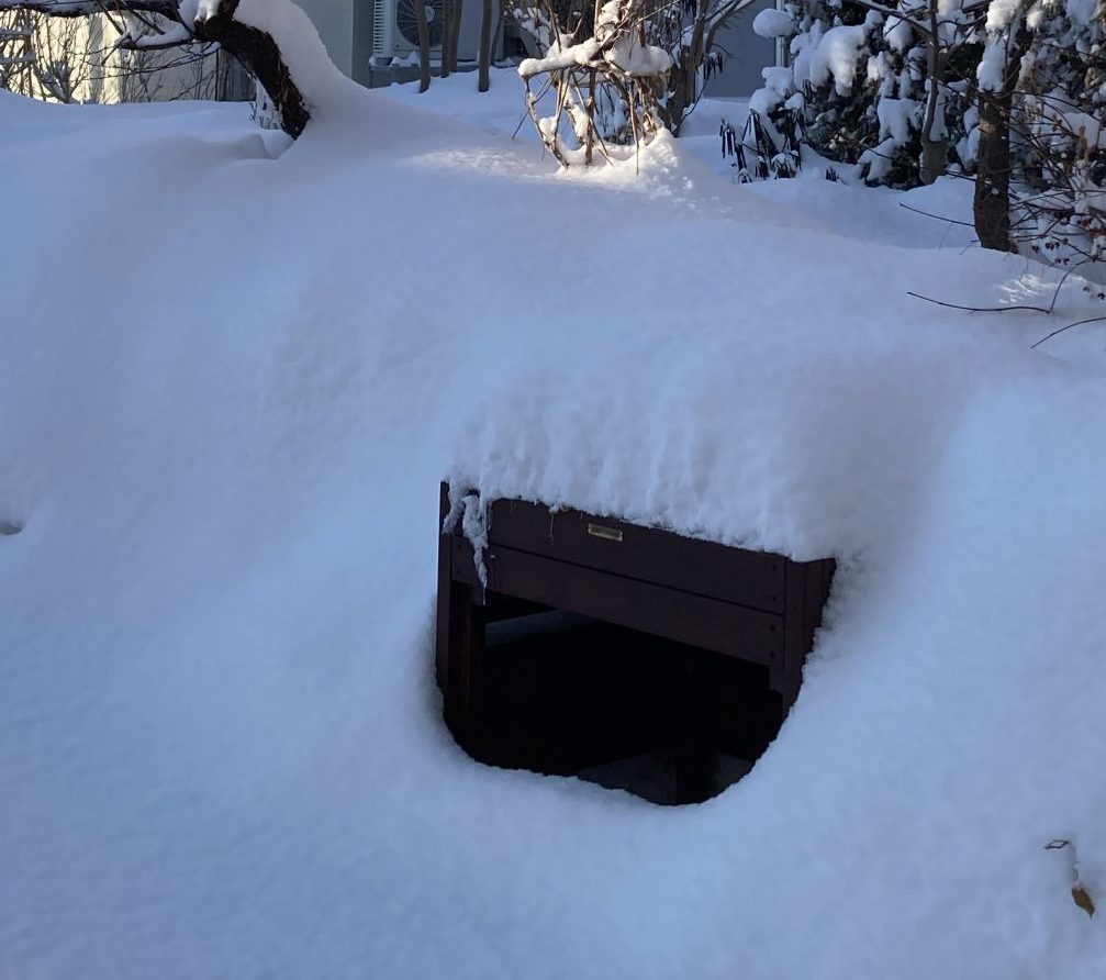 雪の中のレイズドベッド・テーブル